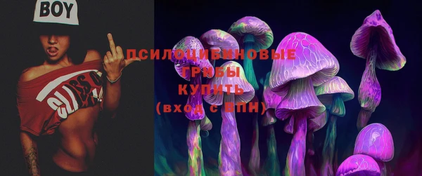 прущий лед Богородск