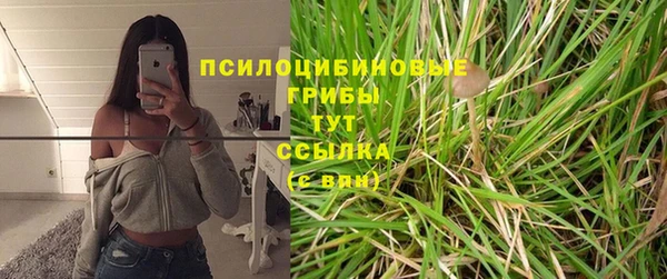 MDMA Богданович