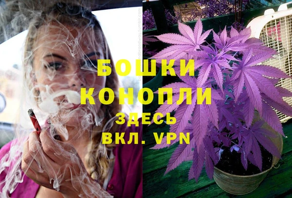 тгк Белокуриха