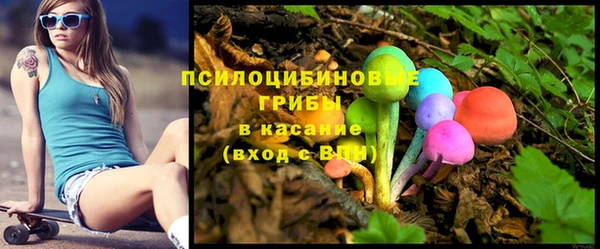 прущий лед Богородицк