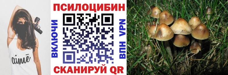 Псилоцибиновые грибы мицелий  магазин    Нелидово 